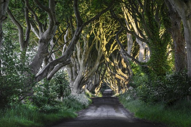 2-Day Northern Ireland Tour from Dublin Including Belfast and Giants Causeway - Guides and drivers: the difference between okay and memorable