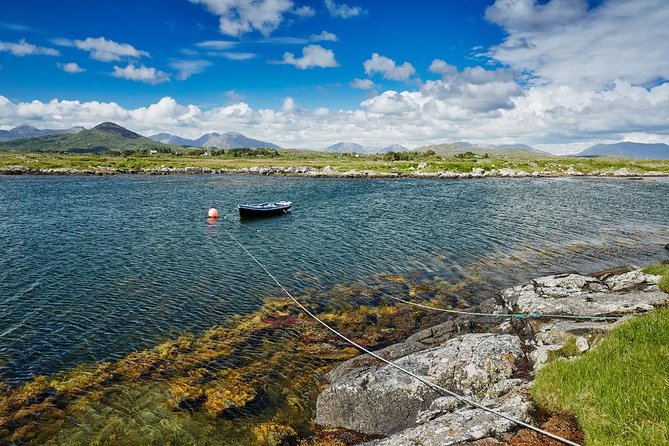 2-Day Western Ireland Tour from Dublin:Including Galway and Cliffs of Moher - Who Should Pick This Western Ireland Tour From Dublin