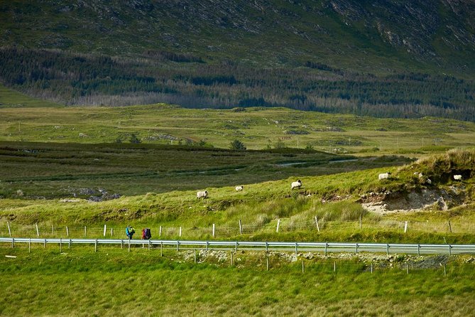 2-Day Western Ireland Tour from Dublin:Including Galway and Cliffs of Moher - Should You Book? My Honest Take