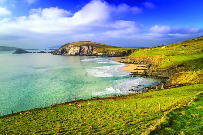 3-Day Dingle, Killarney and the Wild Atlantic Way Small-Group Tour from Dublin - Comfort, Timing, and Practical Stuff You Should Not Ignore