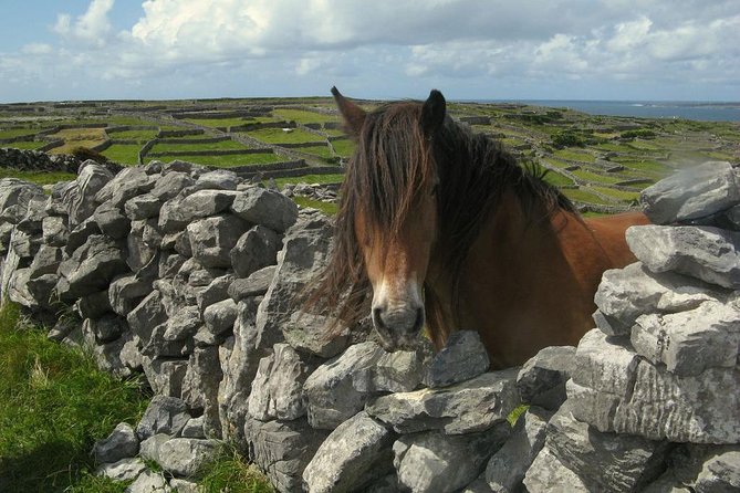 3-Day Southern Ireland Tour Including Galway and Kerry from Dublin - Price and value: what you’re really paying for