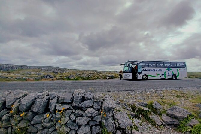 4-Day Guided Tour to Discover Ireland and Dublin - Dublin in Full Swing on Day 3: Walking Tour, Guinness, Jameson, and Hop-On Bus Time