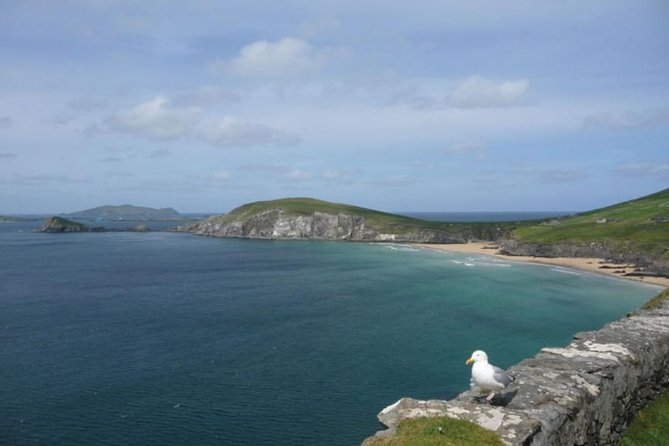 5-Day Northern Ireland and Atlantic Coast Small-Group Tour from Dublin - Price and logistics: what you pay for in this 5-day small-group tour