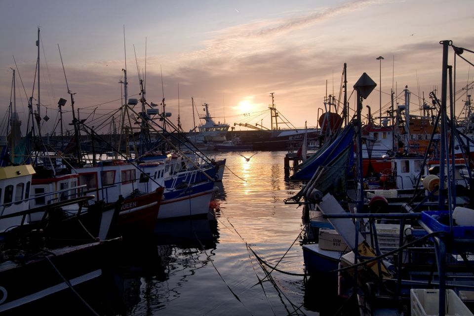 6-Day Tour of Southern Ireland from Dublin - Galway Nightlife: The Payoff After the Long Drives