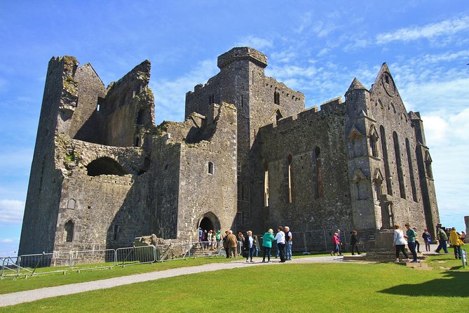 7-Day Great Atlantic Adventure Small-Group Tour of Ireland from Dublin - West Kerry sheepdog demonstration: a simple cultural stop that lands