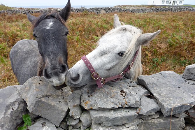 Aran Islands Scenic Flight and Galway Rail Tour from Dublin - Inis Mór Island Touring: Seven Churches, Kilronan, and Dún Aonghusa