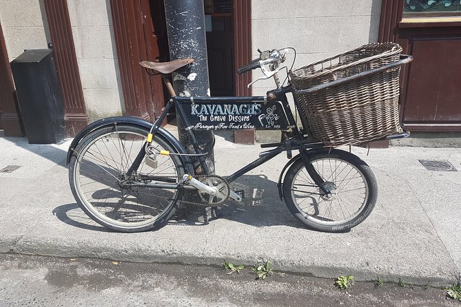 Bike Tour Along The Historic Waterways Of Dublin - Guinness family park and the calm cruise through tree-lined lanes