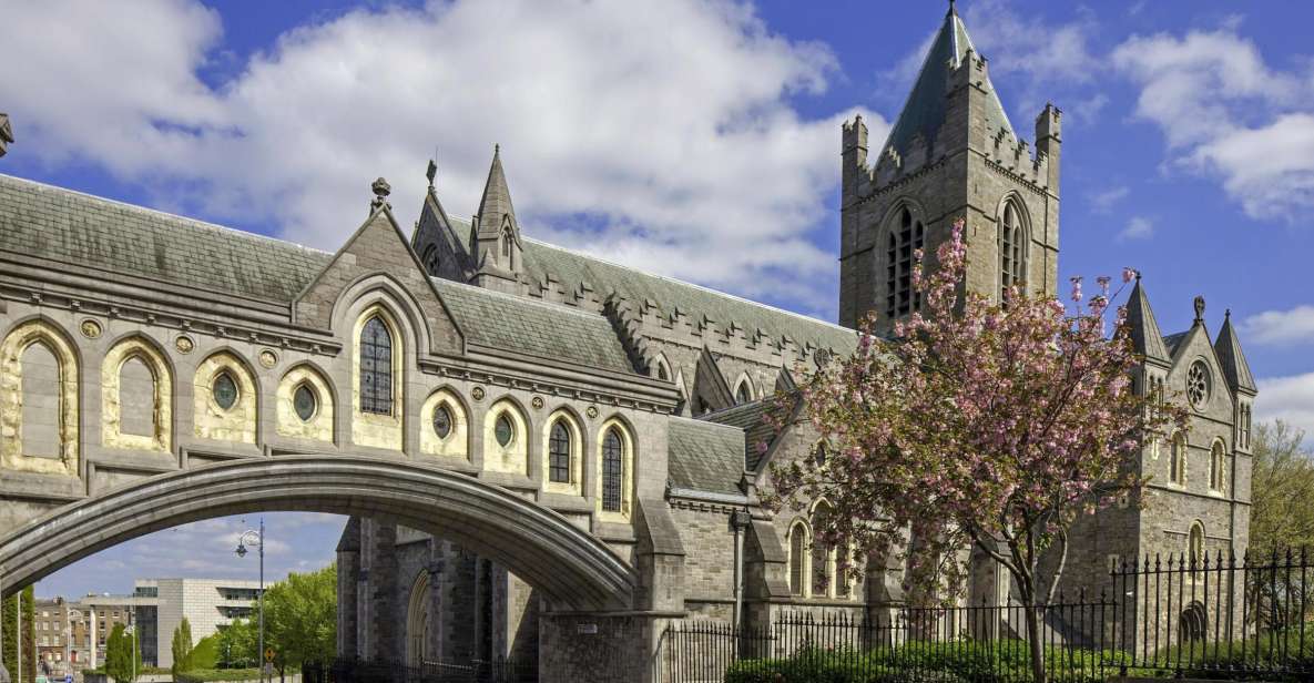 Christ Church Cathedral Entrance Ticket & Self-Guided Tour - The Crypt Oddities: Mummified Cat and Rat, Plus Relics
