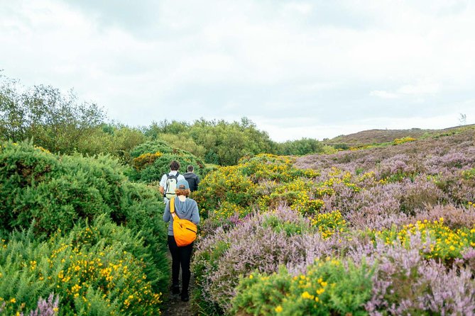 City Explorer: Howth Private Day Trip - Why Howth is such a smart Dublin day trip