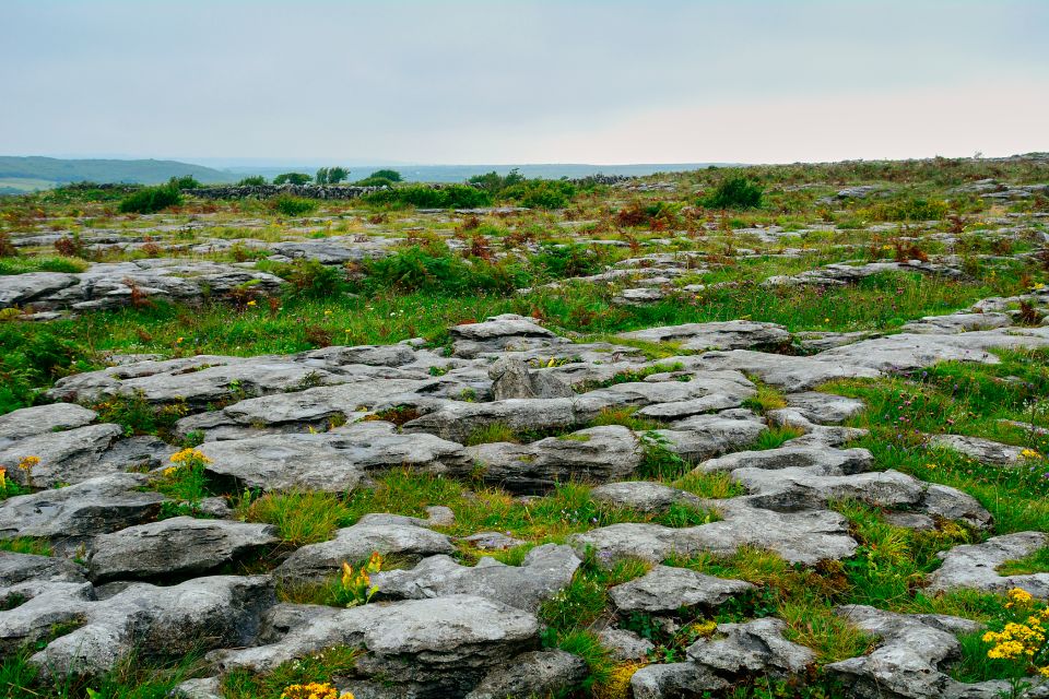 Cliffs of Moher and Blarney 2-Day Tour from Dublin - Cliffs of Moher With Atlantic Edge Experience: The Wind-First Reward