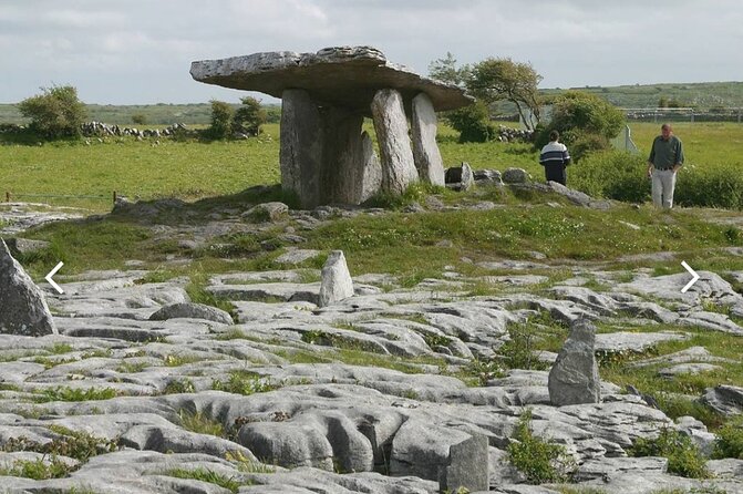 Cliffs of Moher and The Burren Private Tour from Dublin - Aillwee Caves: the underground stop that turns the Burren into a whole world