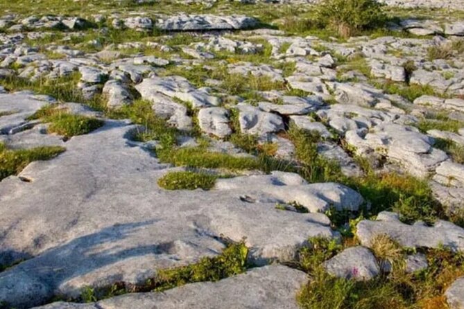 Cliffs of Moher, Burren and Galway 2 Days Private Chauffeur Tour - The private chauffeur format: why this feels easier than DIY