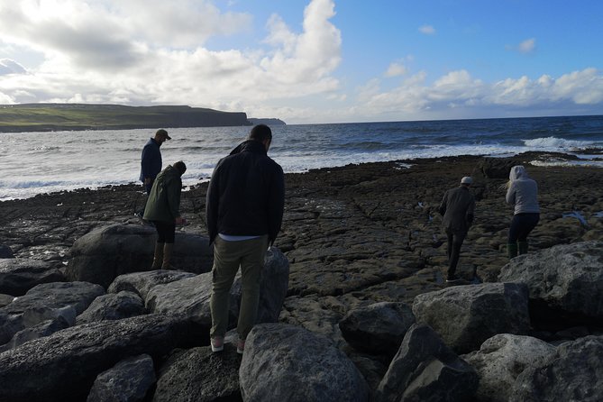Cliffs of Moher & Galway Bay private tour or Galway city day trip - Whiskey, Snacks, and the Irish Music Lesson on the Move