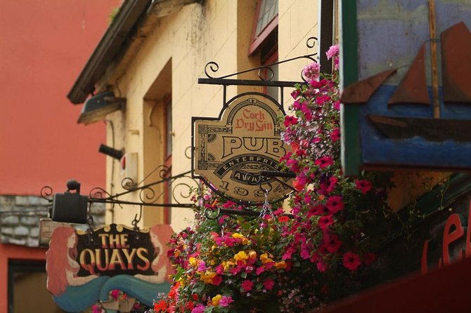 Connemara and Galway City Day Tour from Dublin - Coach comfort, Wi‑Fi, and how to avoid common snags