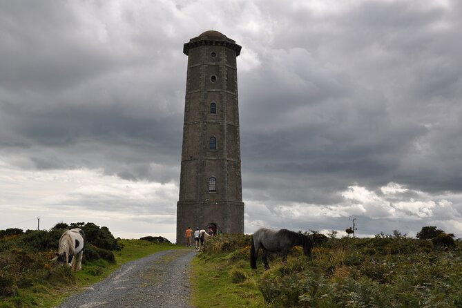 Day Tour from Dublin to Wicklow: Cliffs, Heritage, Wildlife, Gaol - The picnic break: tea, coffee, pastry, and time to reset