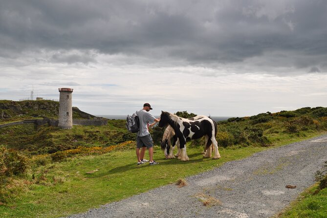 Day Tour from Dublin to Wicklow: Cliffs, Heritage, Wildlife, Gaol - Wicklow Town: Vikings, St Patrick, Norman ruins, and a Vartry River view