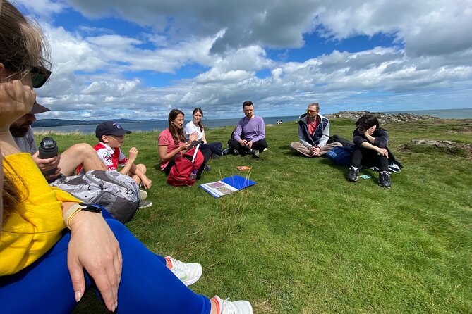 Day Tour from Dublin to Wicklow: Cliffs, Heritage, Wildlife, Gaol - Price and value: what $781.03 per group buys you