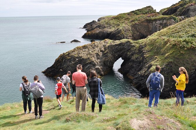 Day Tour from Dublin to Wicklow: Cliffs, Heritage, Wildlife, Gaol - The guide factor: Diana’s plant-and-bird focus makes it stick