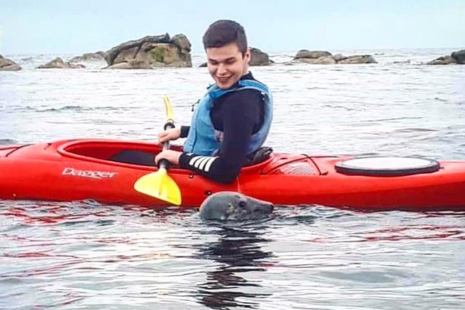 Dublin Bay Seal Kayaking Safari at Dalkey - 4) Bullock Harbour start: how the morning gets set