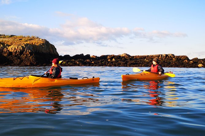 Dublin Bay Seal Kayaking Safari at Dalkey - 5) From Bullock Harbour to Dalkey coast (and Dalkey Island if conditions allow)