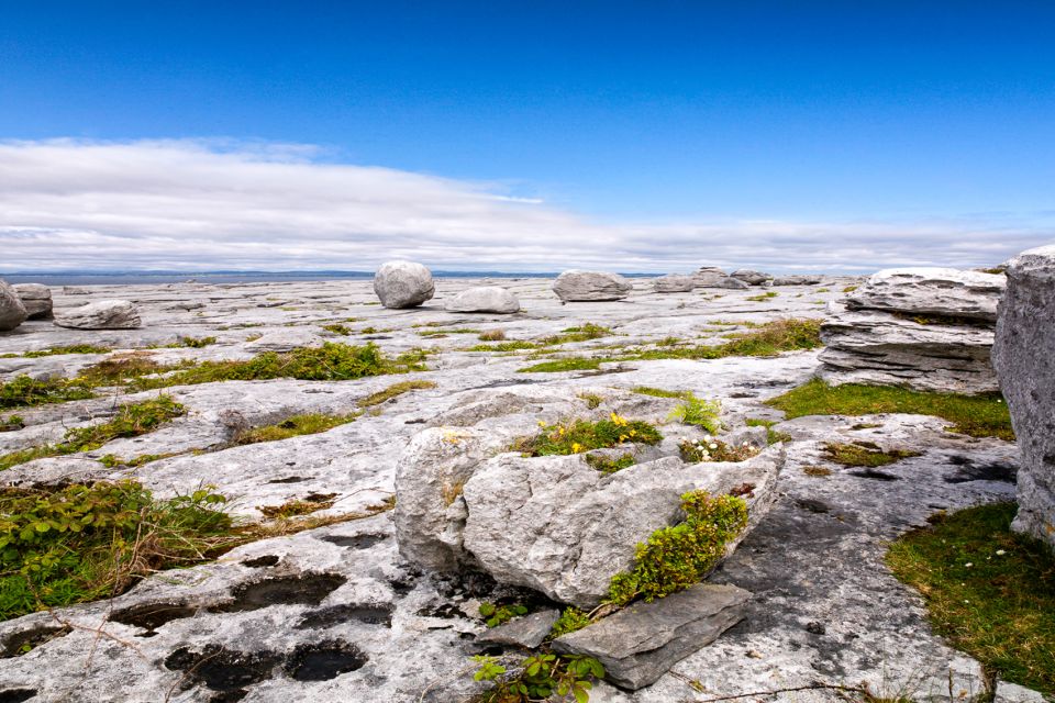 Dublin: Cliffs of Moher, Atlantic Edge & Galway City - Who This Tour Suits Best (and Who Might Prefer Another Plan)