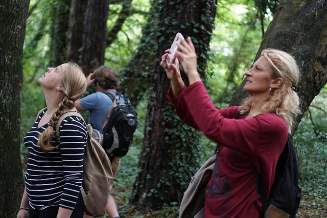 Dublin Coastal Hike with Howth Adventures - Howth Market to Harbour Wildlife: Seals, Boats, and Real Port Atmosphere