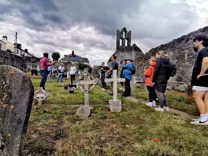 Dublin: Dublin Coastal Hike and Pints & Puppies - Hidden Howth: The Trails That Feel Like Secret Shortcuts