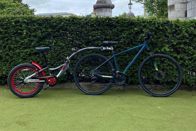 Dublin Full Day Bike Rental - Rest breaks and that park tearoom finish