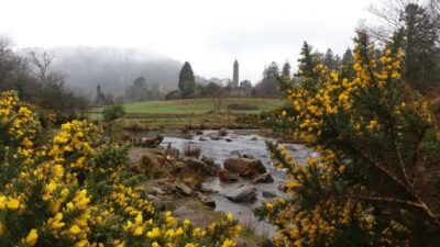 Dublin: Full-Day Wicklow Mountains Tour w/ Glendalough Visit - Glendalough National Park: St. Kevin’s Monastery and the Celtic Cross Stories