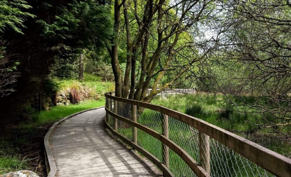 Dublin: Full-Day Wicklow Mountains Tour w/ Glendalough Visit - What’s Included, What Isn’t, and Who This Tour Fits Best