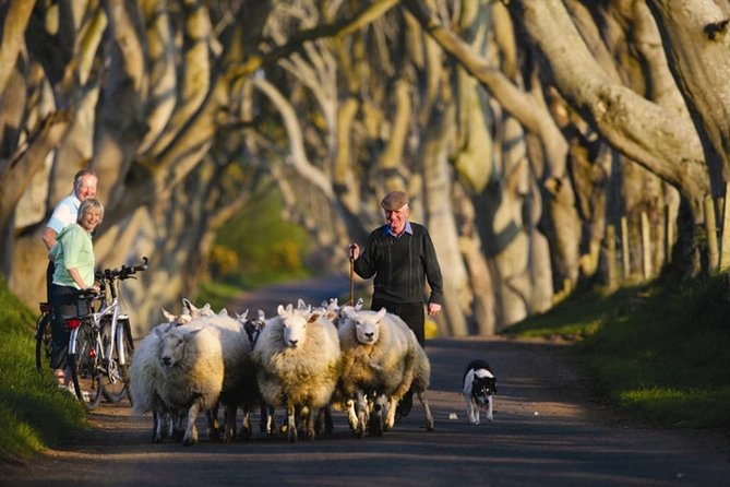 Dublin: Giant's Causeway, Dark Hedges, Dunluce and Belfast Titanic entrance fee - Stop 4: Titanic Belfast with a ticket included (shipyard story, not just photos)