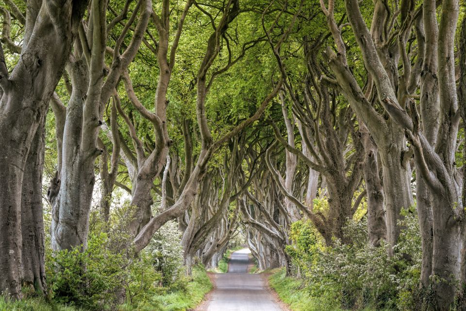 Dublin: Giants Causeway, Dark Hedges, Dunluce & Belfast Tour - The Big Picture: What You Actually Get for a Full 12 Hours