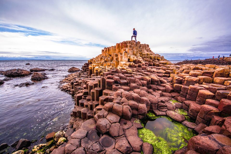 Dublin: Giant's Causeway, Dark Hedges & Titanic Guided Tour - Dark Hedges in County Antrim: the Game of Thrones avenue walk