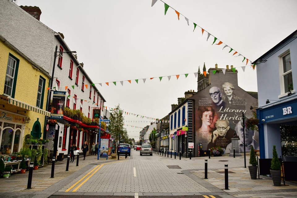 Dublin: Historical and Cultural Historical Walking Tour - Dublin Castle in 10 minutes: where the city’s power shows