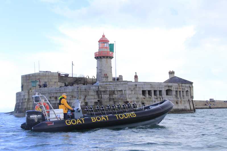Dublin: History and Wildlife Boat Tour with Live Commentary - Where you’ll meet Goat Boat Tours by the sunny yellow flags