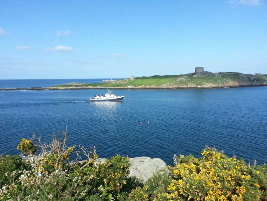 Dublin: Howth Cliffs and Ireland's Eye Boat Cruise - Who should book this Howth Cliffs and Ireland’s Eye cruise