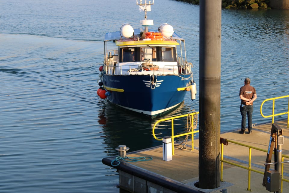 Dublin: Howth Cliffs and Lighthouse Boat Tour - Key Things To Know Before You Go