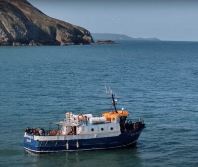 Dublin: Howth Cliffs and Lighthouse Boat Tour - A Tight 45-Minute Cruise With Live Captain Commentary