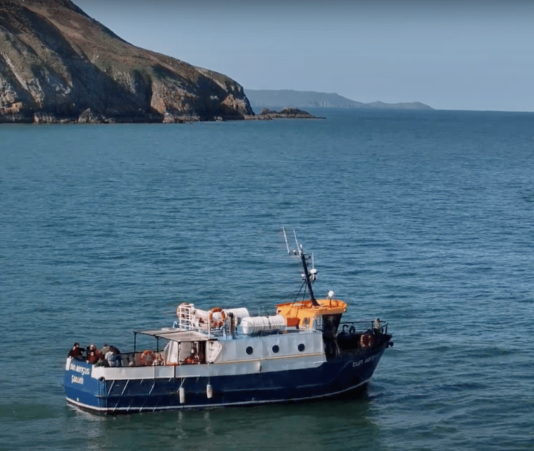 Dublin: Howth Cliffs and Lighthouse Boat Tour - A Tight 45-Minute Cruise With Live Captain Commentary