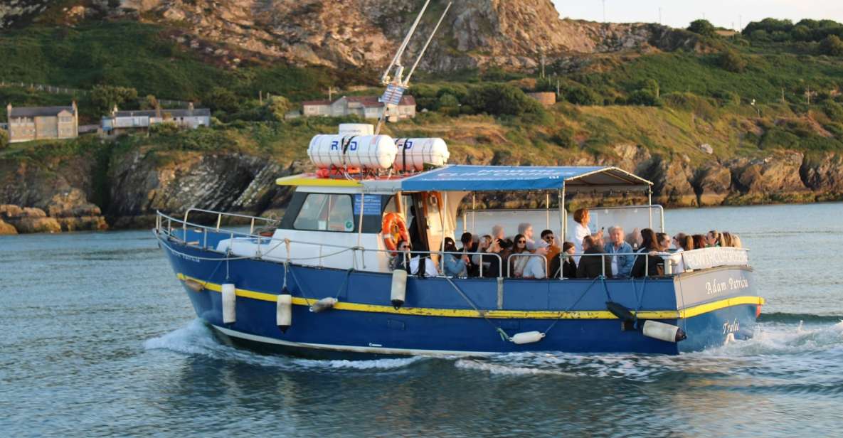 Dublin: Howth Cliffs and Lighthouse Cruise - Live captain commentary: what you’ll actually learn (and why it matters)