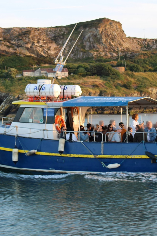 Dublin: Howth Coast and Ireland's Eye Boat Tour - Key things to know before you go
