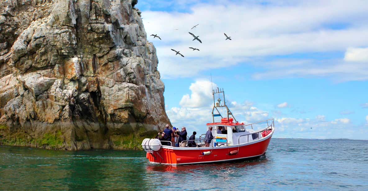 Dublin: Howth Coastal Boat Tour - Howth to Ireland’s Eye: why this short boat ride works
