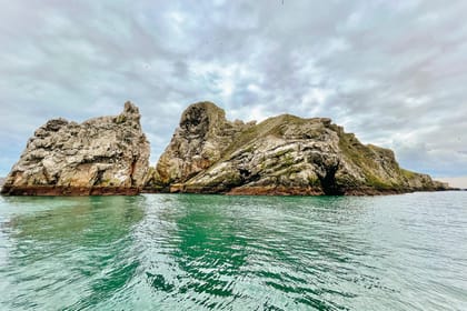 Dublin: Howth Coastal Boat Tour - UNESCO Dublin Bay Biosphere: seeing protected nature from the water