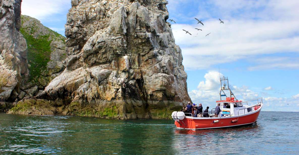 Dublin: Howth Coastal Boat Tour - Ireland’s Eye cliffs and caves: the views you’ll remember