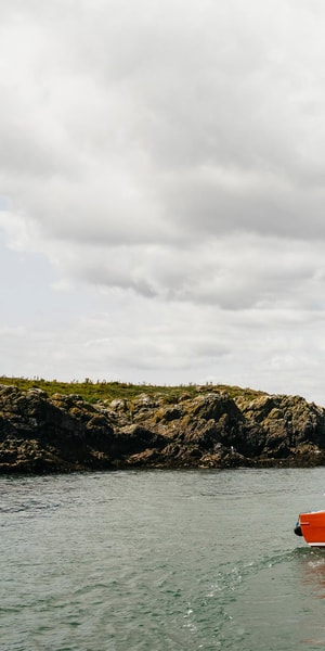 Dublin: Howth Coastal Boat Tour - Comfort on a small boat: what to expect in real life