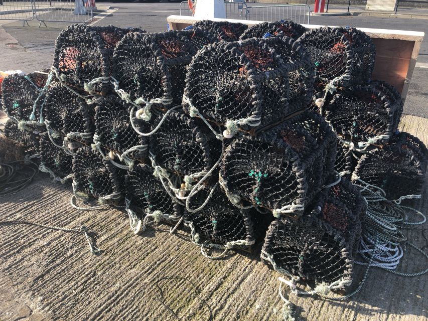 Dublin: Howth Coastal Craft Beer and Seafood Tour - Beer Tastings That Actually Teach You Something