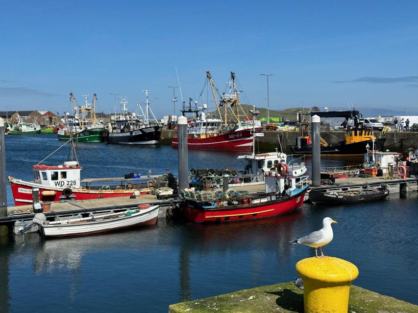 Dublin: Howth Coastal Hiking Tour - Should You Book? My Honest Call