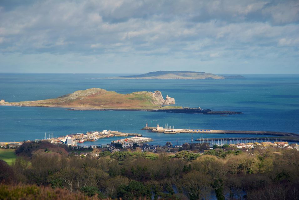 Dublin: Howth Coastal Hiking Tour - Howth in 3 Hours: Value, Pace, and Who It Fits