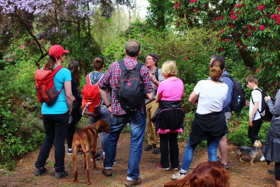 Dublin: Howth Coastal Hiking Tour - What to Bring (So Rain and Wind Don’t Ruin Your Day)