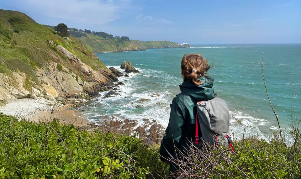 Dublin: Howth Safari Hiking Tour - Meet at The House Restaurant: scones, tea, and a real route briefing